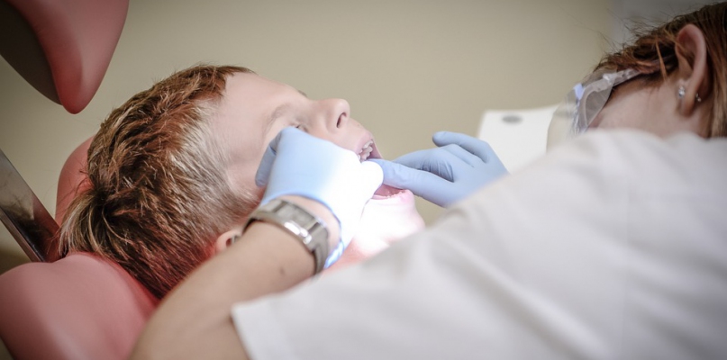 Fot. materiał partnera