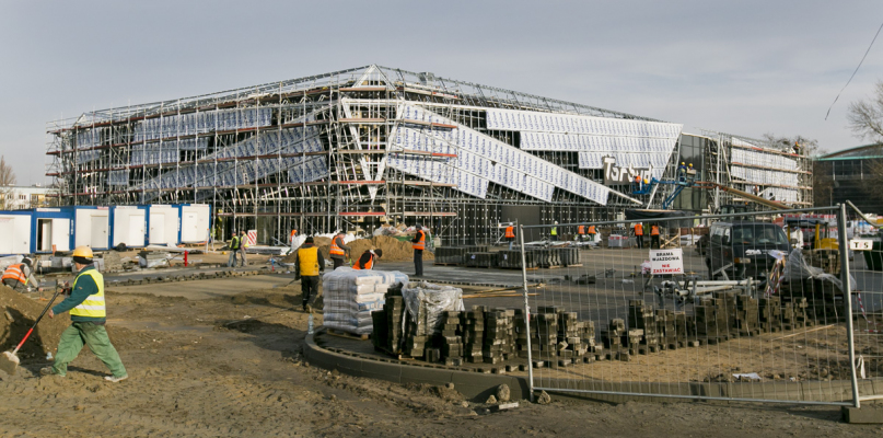 Torbyd. Fot. jacek Nowacki