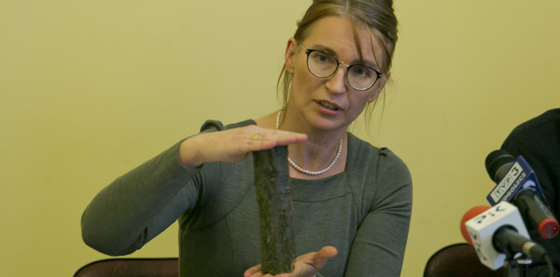 Grażyna Szabelska. Fot. Jacek Nowacki