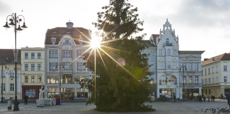 Choinka na Starym Rynku. Fot. Jacek Nowacki