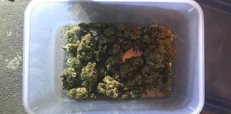 Fot. KWP w Bydgoszczy