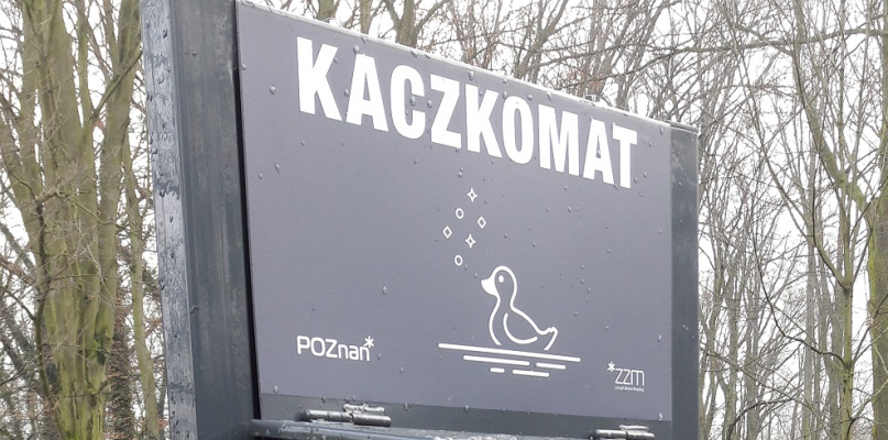 Autor zdjęcia: Szymon Róg