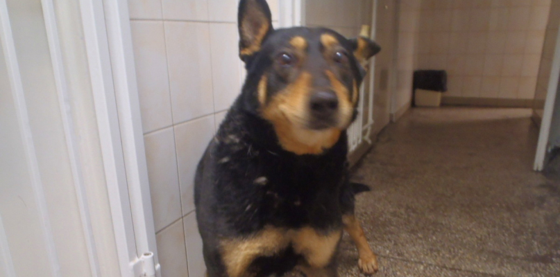 Fot. KWP w Bydgoszczy