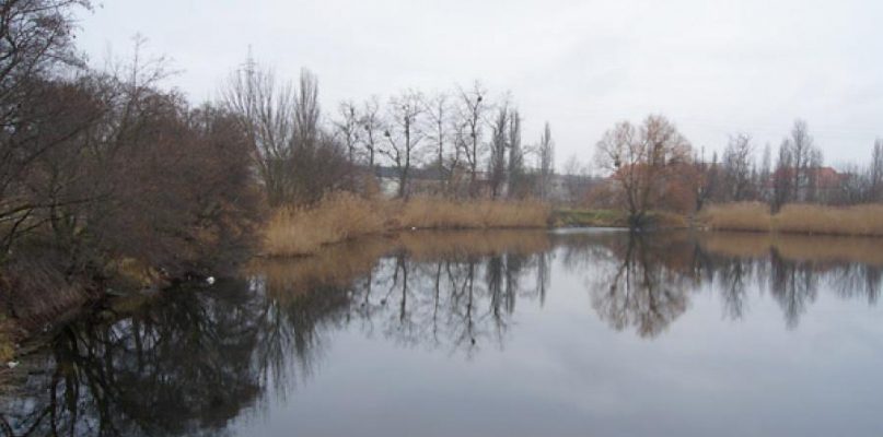 Tu na razie jest staw i nieużytki, będzie Akademia Muzyczna. Fot. Jacek Nowacki