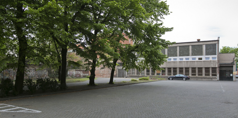 Większość drzew na parkingu I LO ocalała. Trzeba było wyciąć tylko rosnące przy hali sportowej. Fot. Jacek Nowacki