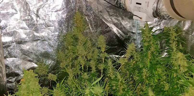 Fot. KWP w Bydgoszczy