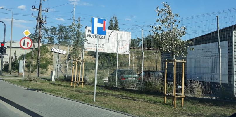 Zasadzone drzewa przy ul. Premysłowej (stan z 4 lipca 2018). Zdjęcie nadesłane