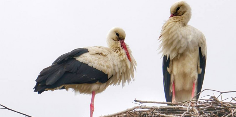 Fot. FlyFoto.PRO