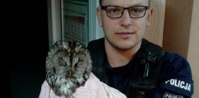 Fot. Policja