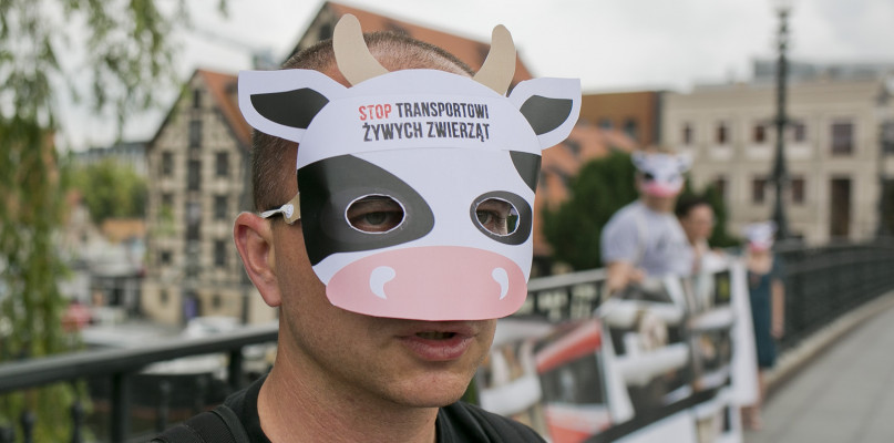 Jakub Mikołajczak. Fot. Jacek Nowacki