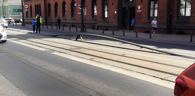 Zdjęcie z 11 czerwca 2019 roku. Fot. Bizon