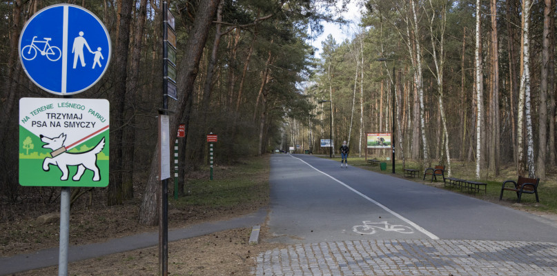 Pierwsza niedziela wiosny w Myślęcnku. Pustki... Fot. Jacek Nowacki