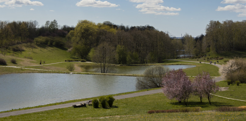 Ogród Botaniczny w Myślęcinku otwarty dla spacerowiczów. Fot. Jacek Nowacki