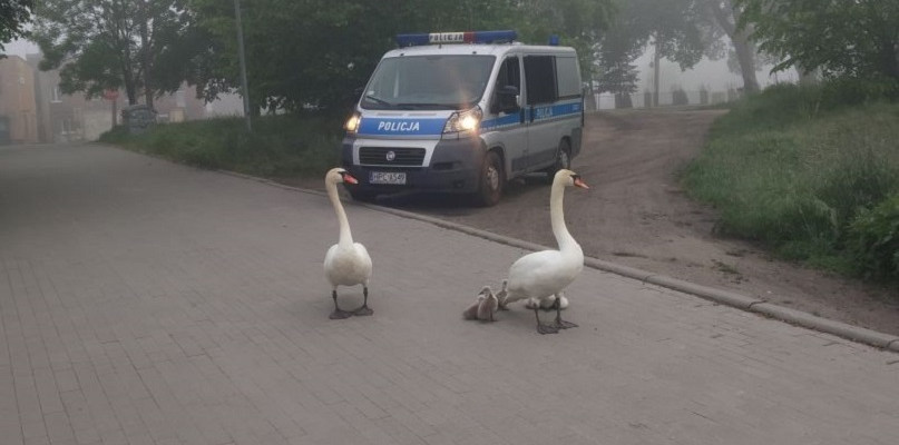 Fot. Policja