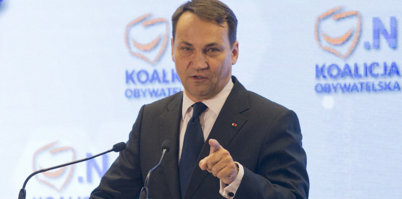 Radosław Sikorski. Fot. Jacek Nowacki
