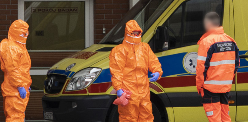 Wizualizacja wirusa SARS-CoV-2. Autor: CDC/ Alissa Eckert, MS; Dan Higgins, MAM (z: Wikipedia) 