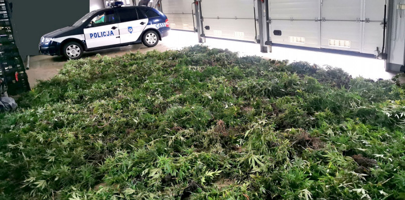 Fot. Policja